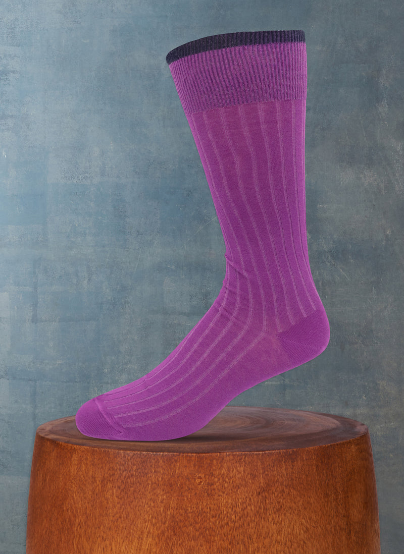 Solid Thin Rib Sock in Purple with navy tipping