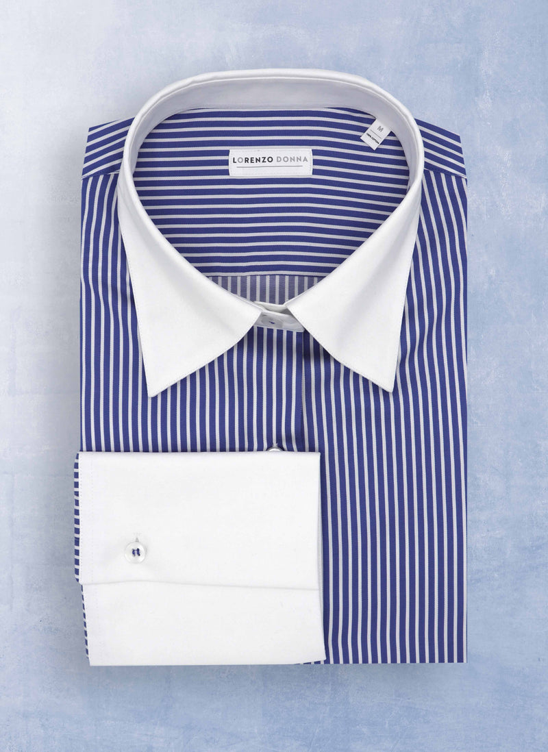 Women's Modern Fit Dress Shirt in Blue Stripe L Women's Modern Fit Dress Shirt in Blue Stripe L