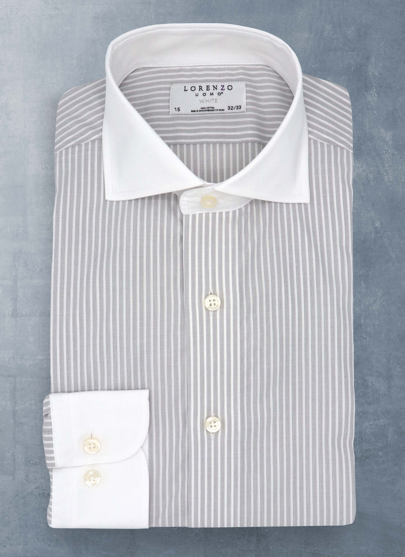 grey and white stripe shirt in white collar and cuff